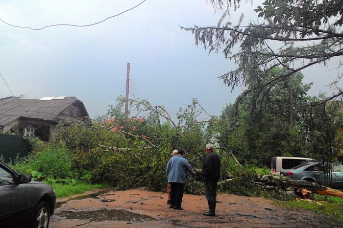 Стихия в Кимрах валила деревья и рвала электрические провода