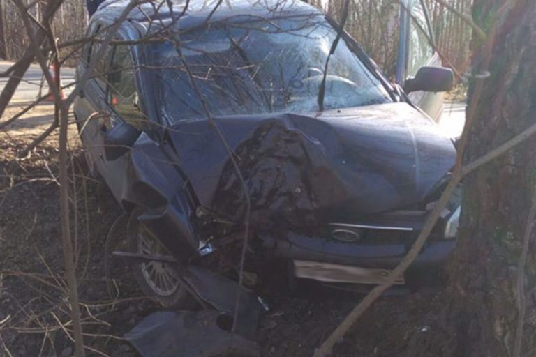 27-летняя девушка не справилась с управлением и въехала в дерево на Борковском шоссе в Кимрах