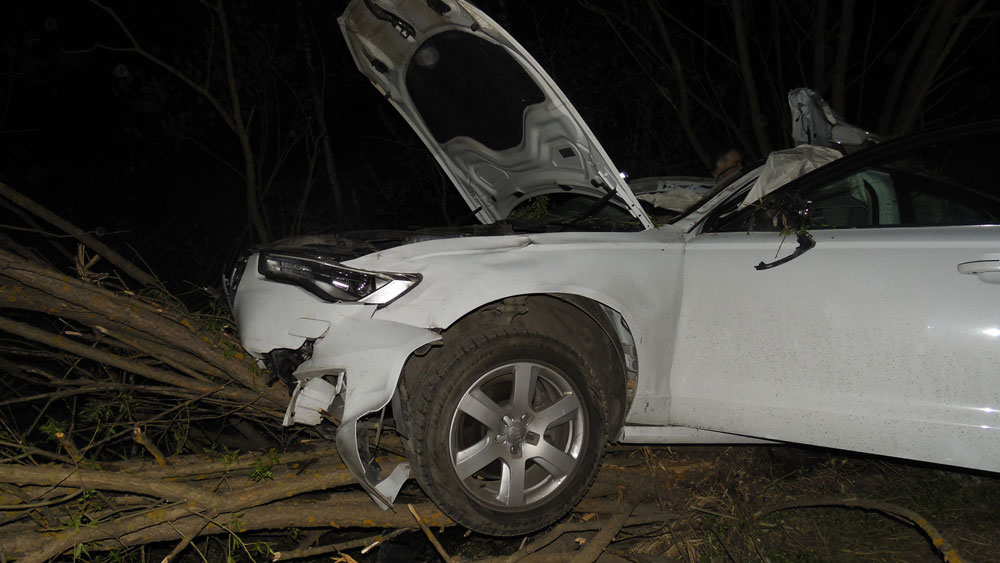 На трассе Дубна - Кимры  ВАЗ сбил лося и врезался в Audi A6, в ДТП погиб водитель