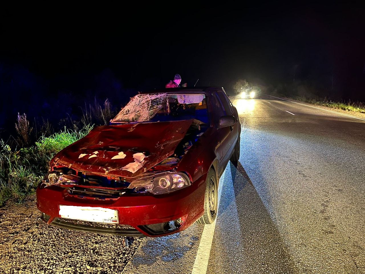 На автодороге Тверь - Кимры водитель Daewoo сбил лося, пострадали пассажирки
